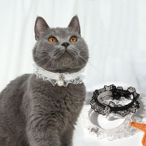 

cat collars & leads lace collar pearl flower pu adjustable small dog necklace kitten accessories princess birthday gift