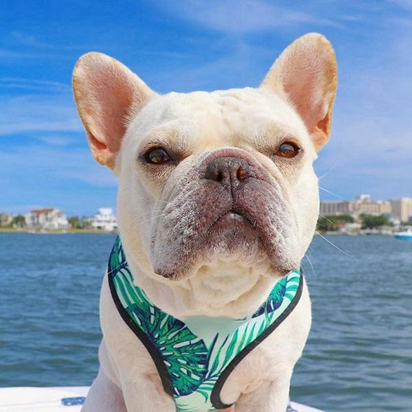 

dog collars & leashes harness durable reflective pet breathable no pull with handle small medium big accessories