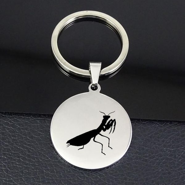 

keychains praying mantis pendant keychain simple animal disc jewelry factory price yp7357, Silver