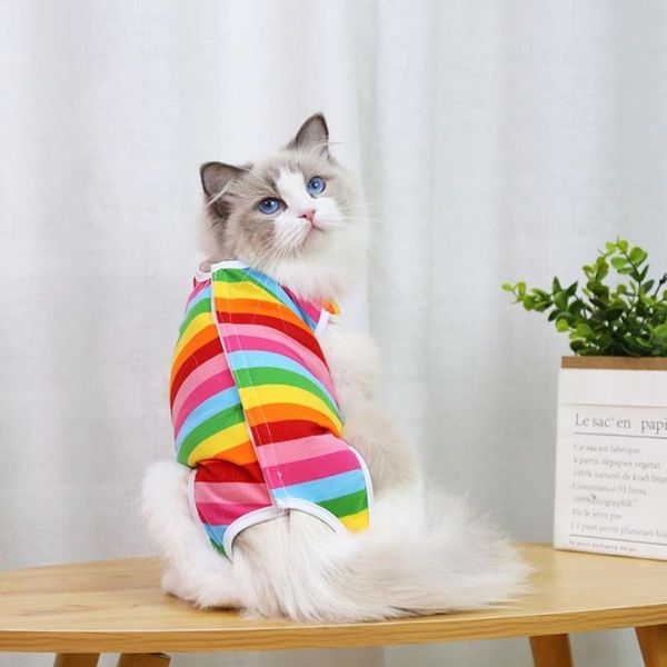 

cat clothes recovery suit for abdominal wounds skin diseases after wear e-collar alternative puppy pet dogs costumes
