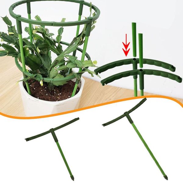 Outros suprimentos de jardim 1/4 pcs Plantance Plant Support Stand Flores Semicírculo Estufas Arranjo Fixação Haste Suporte Bonsai Tool