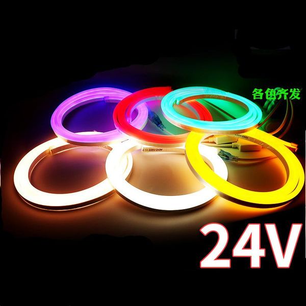 

strips 100m/lot 25*15mm led neon light flexible lights rgb dc12v 24v ac110v advertising sign modeling waterproof ip65 outdoor lighting