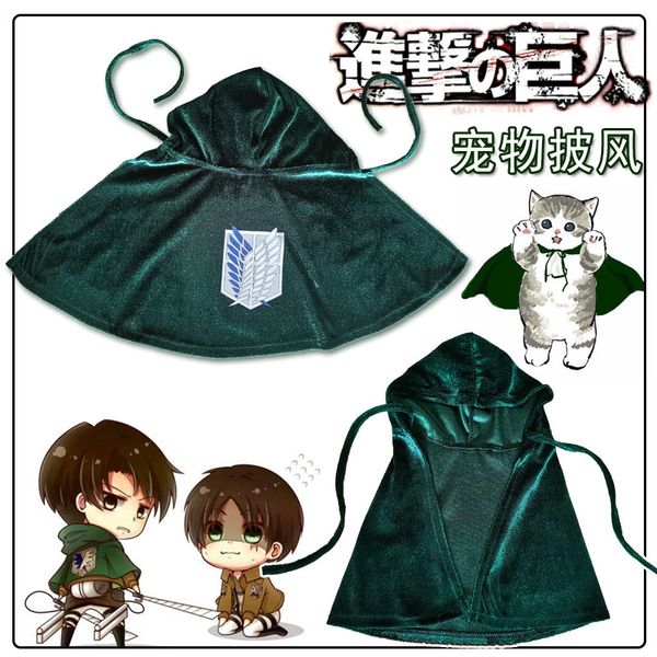 

attacking giant cosplay cat pet cape clothing dog