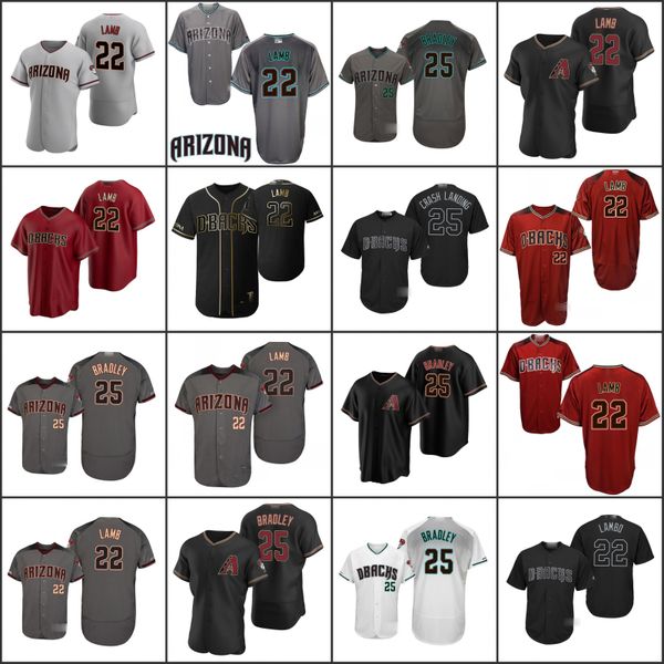 

arizona diamondbacks men 25 archie bradley crash landinh 22 jake lamb lambo men youth jersey, Black;red
