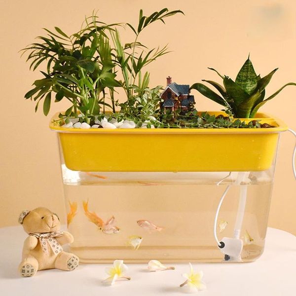 

aquariums acrylic transparent fish tank rectangular natural ecosystem aquaculture landscape akvaryum aquarium accessories ei50sg
