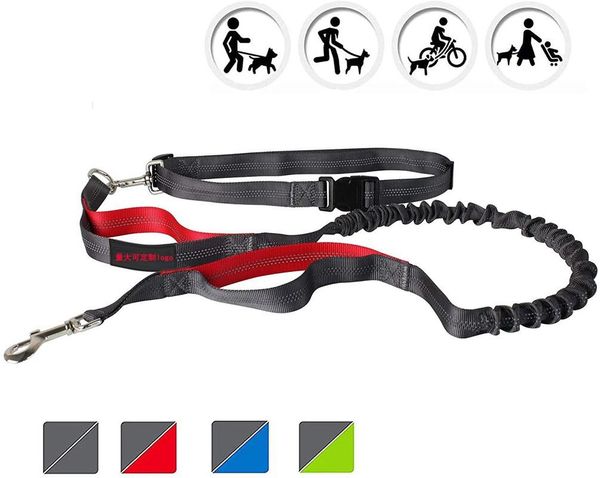 

dog sports leashes fashion style pet supplies collars &