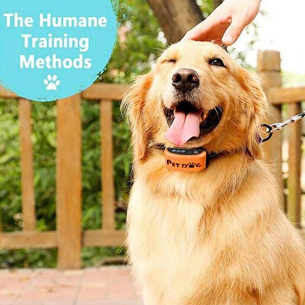 

pet dog ultrasonic anti bark collar puppy outdoor sbarking small and medium intensity adjustment indoor training tool apparel