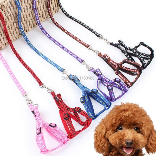

dog collars & leashes 12 pcs/lot adjustable nylon pet harnesses collar for small cats dogs traction harness belt kitten cat halter product