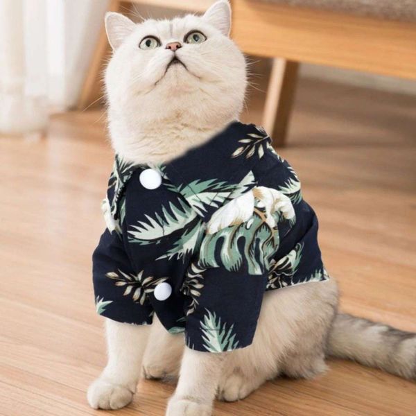 

the dog clothes spring and autumn thin shirt teddy chenery small dog cat pet summer clothing