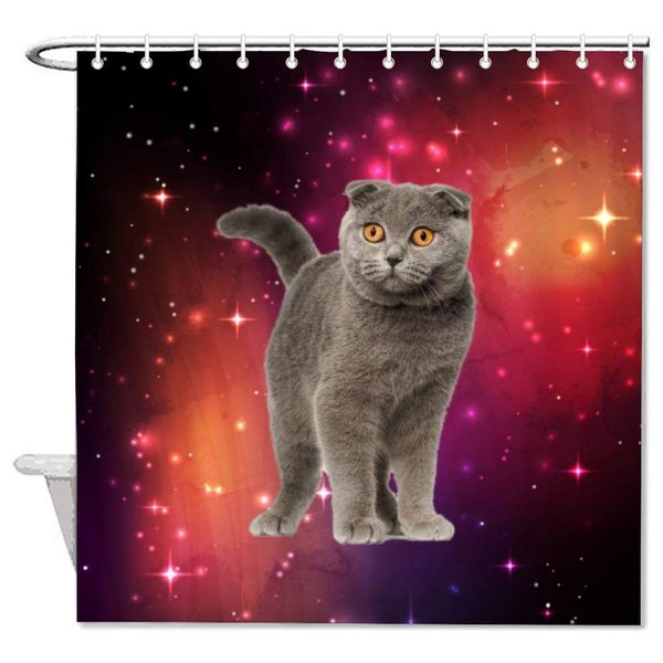 

british shorthair carnivore cat chartreux felidae mammal scottish fold snout whiskers bath decorative shower curtain bathroom