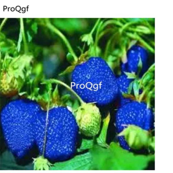 

prodgf 9000pcs a set strawberry party favor