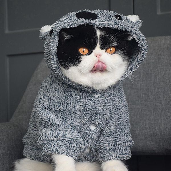 

cat hoodies sweater clothes costumes