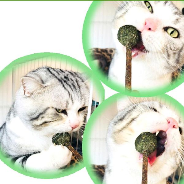 

cat toys 1pcs mint ball catnip play toy coated with & bell for pet kitten