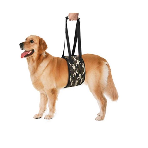 

dog collars & leashes dedicated auxiliary belt for elderly injured dogs