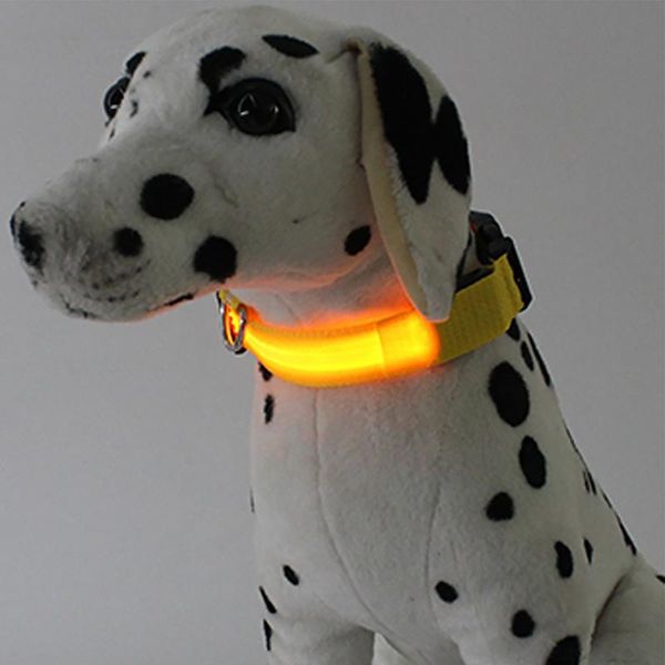 

cat collars & leads usb rechargeable led dog pet collar flashing luminous safety light up nylon accessories for dogs