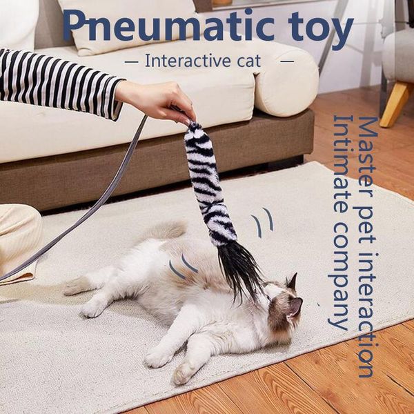 

cat toys toy creative chats pet funny 2021 stick simulation beating fish accessories