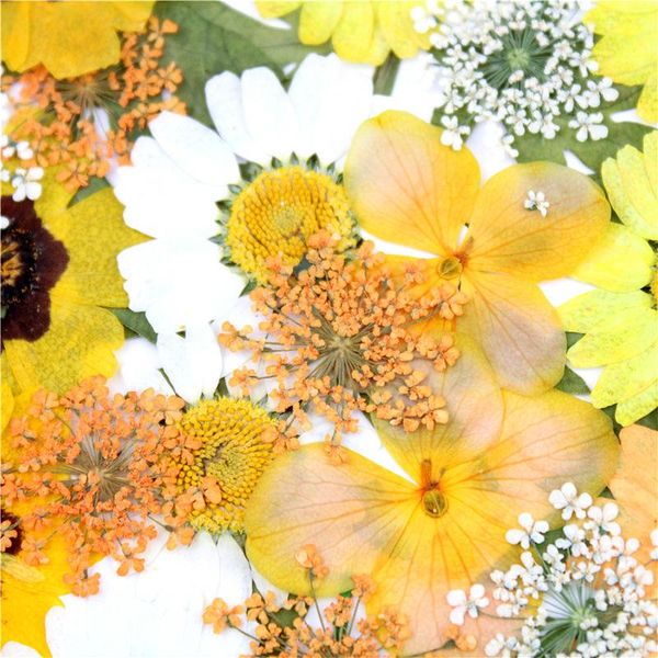 

gift wrap 1@#designs natural flowers leaves plants japanese words stickers transparent material deco