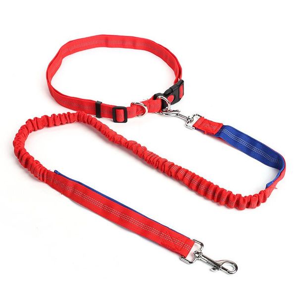 

dog leash outdoor adjustable elastic rope belt for jogging or walking nylon traction running pet collars & leashes