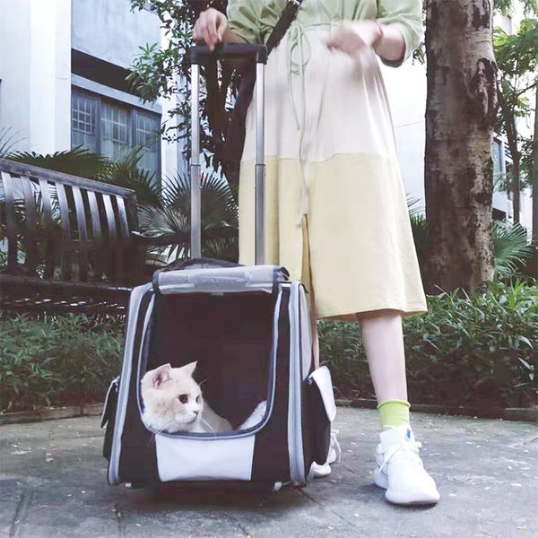 

breathable size double shoulder large capacity two then carry backpack cage cat bag pet trolley case