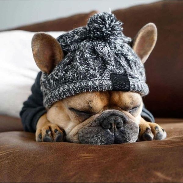 

fashion knitting dog hat autumn winter warm windproof knitted cute costume accessories cap for pet apparel