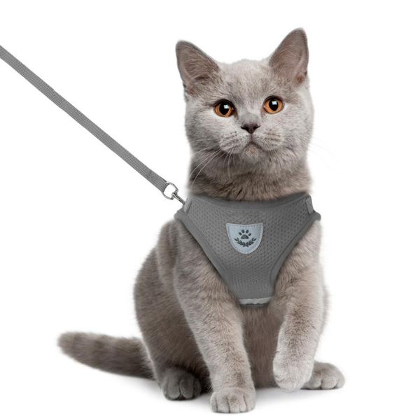 

mesh vest harness 1pc walking lead cat accessories escape with leash small medium dog pet clothes reflective collars & leashes