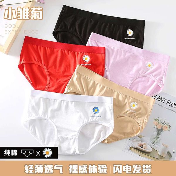 

little daisy koi breathable shorts simple medium waist thin pure cotton small for women, Black;pink