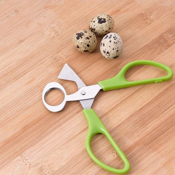 

blender 4xfb 10pcs quail eggs scissors, stainless steel pigeon egg cutter, bird opener kitchen shears tool