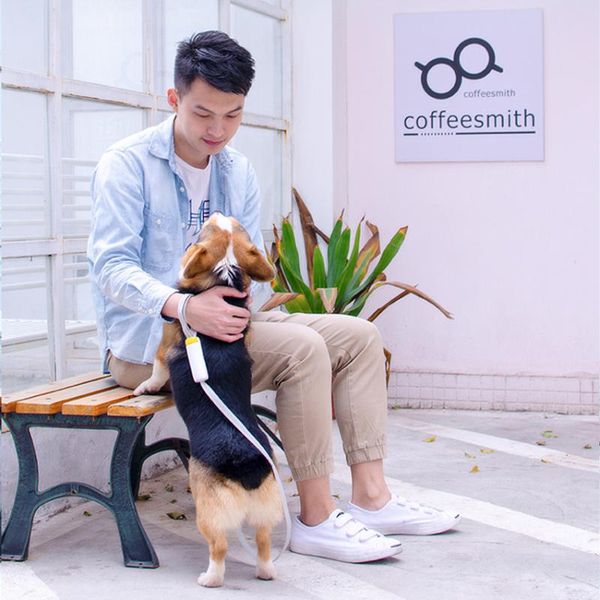 

dog collars & leashes leash waterproof long handshigh strength anti-bite nylon
