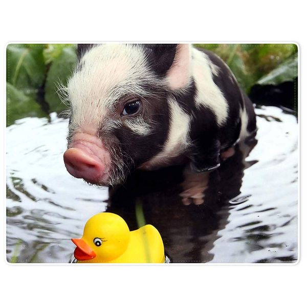 

blankets plush sofa bed throw blanket funny pig yellow duck