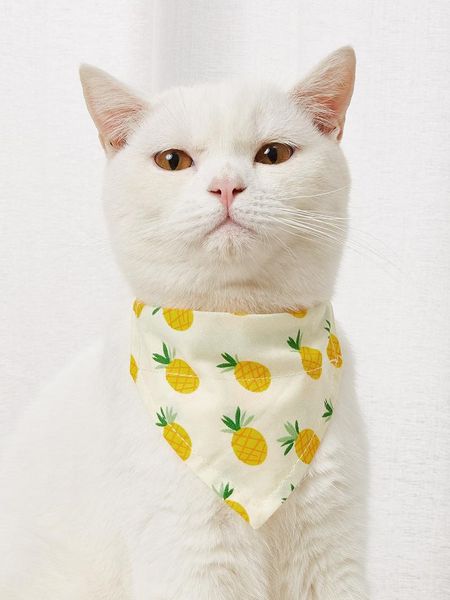 

cat costumes bandana collar pet dog buckle durable cute