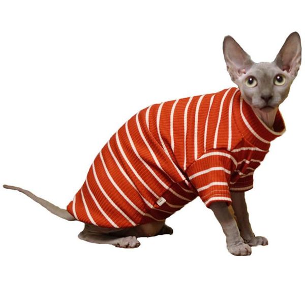 

cat clothes sphynx spring summer wearing kitten jumper hairless designer cute outfits apparel costumes