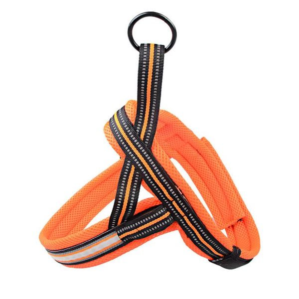 

dog collars & leashes pet products large illuminate chargable reflective explosion proof harnesses leads