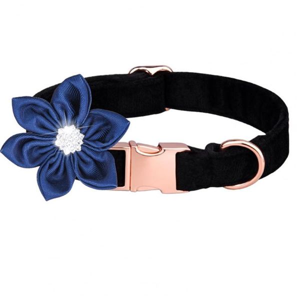 

dog collars & leashes convenient lightweight stylish decorative cat collar for daily use