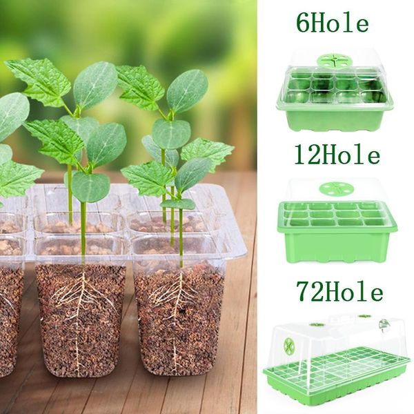 

6/12 hole seedling box seed tray bud board plant promoter nursery garden growth planters & pots
