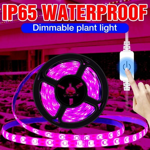 

grow lights 5v full spectrum led plant growth light usb greenhouse 0.5m 1m 2m 3m hydroponic