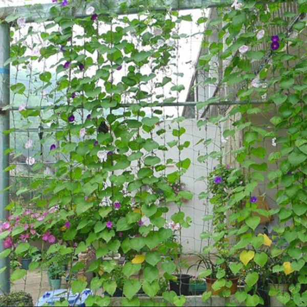

other garden supplies vegetable plant nylon fence flower melon fruit climbing grow netting 5x1.8Â and 5x2.7 meters of two optionnais