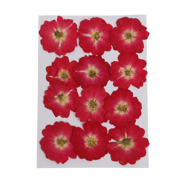 

12pcs dried pressed flowers natural roses dry diy accessories gift wrap