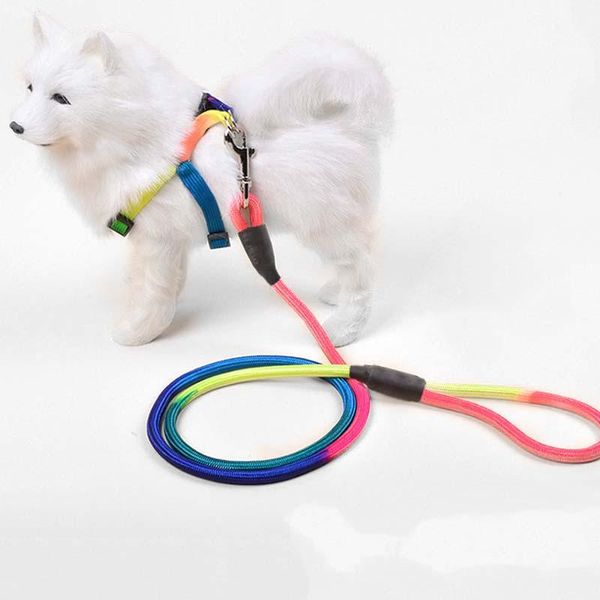 

dog collars & leashes 1pc colorful leash rope 1.2m nylon belt pet traction walking lead round crude training 3 size s mail
