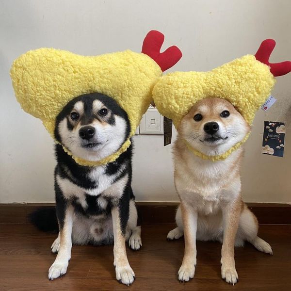 

dog apparel tempura hat fried shrimp headgear cat pet funny decoration