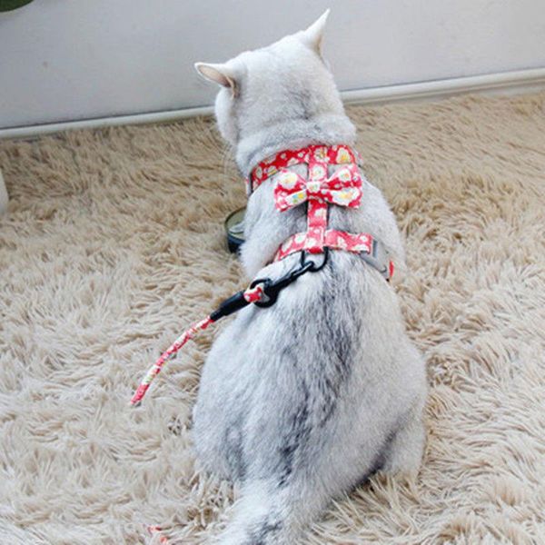 

cat collars & leads cute bow dog harness vest with lead leash puppy dogs collar polyester mesh for small medium pet
