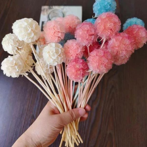 

decorative flowers & wreaths 2.5-4cm head/25~30cm,20pcs real natural dried ball preserved pine worm fruits,eternal windmill fruit,home decor