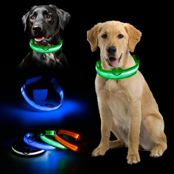 

dog collars & leashes flashing glowing gem light led supplies products pet collar adjustable small luminous safety