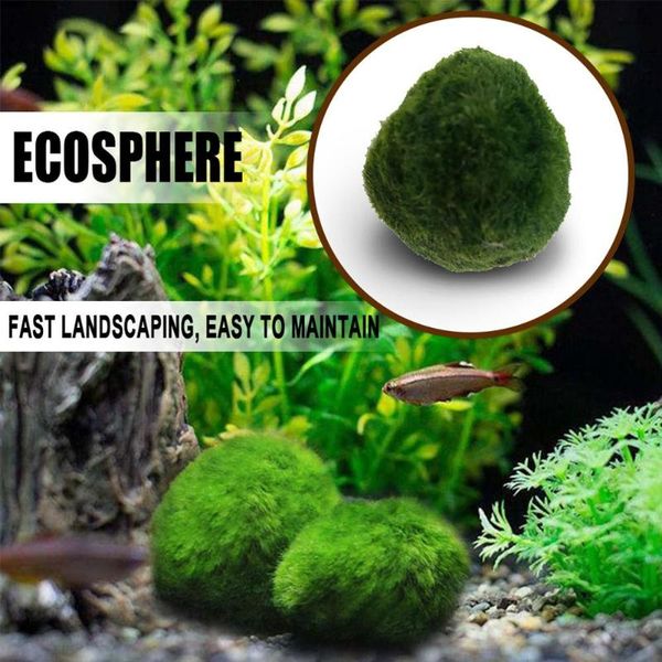 

decorations artificial aquarium plants green seaweed balls landscaping chlorella algae happy environmental ball for fish tank