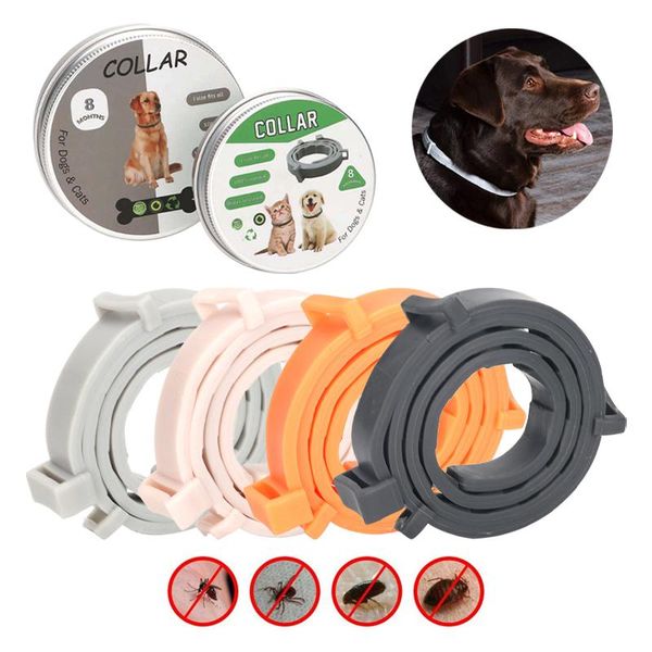 Collare per sverminazione dell'animale domestico regolabile a 4 colori Collare per cani Anti pulci Tick Zanzara Forniture per insetti Collari Guinzagli