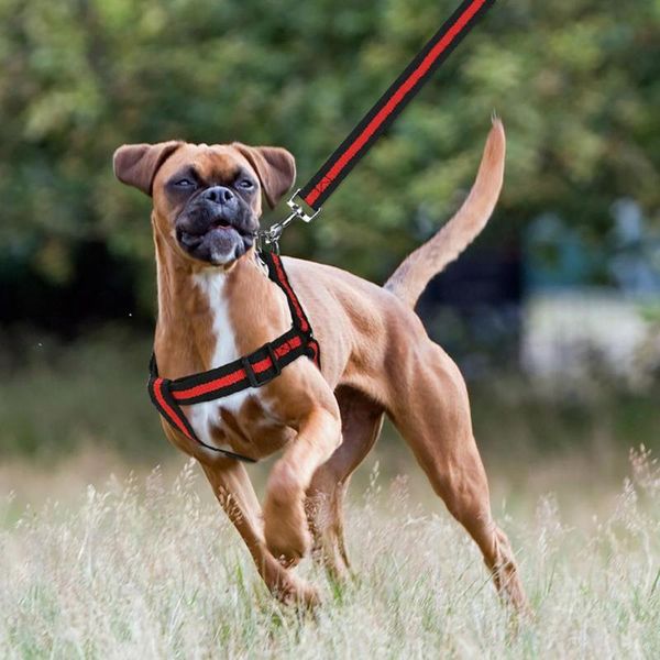 

dog collars & leashes 3color pet collar buffer traction rope stretchable nylon for taking have a long-time running