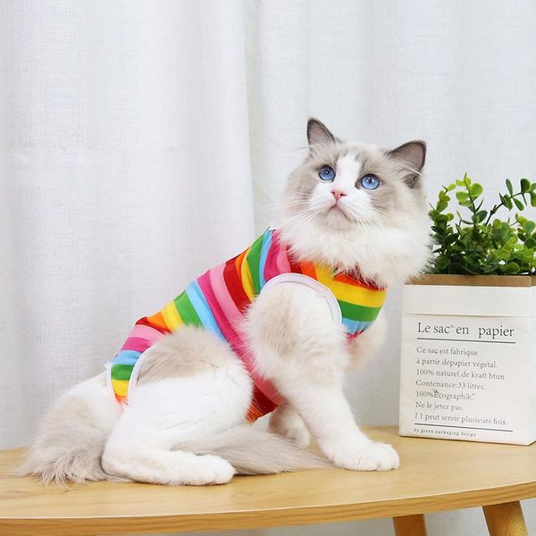 

cat costumes recovery suit printed sleeveless pet shirt back hook & loop closure breathable costume for dog ts1