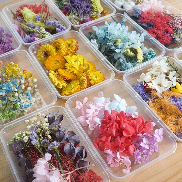 

decorative flowers & wreaths 1box real dried flower dry plants for candle epoxy resin pendant necklace jewelry making craft diy
