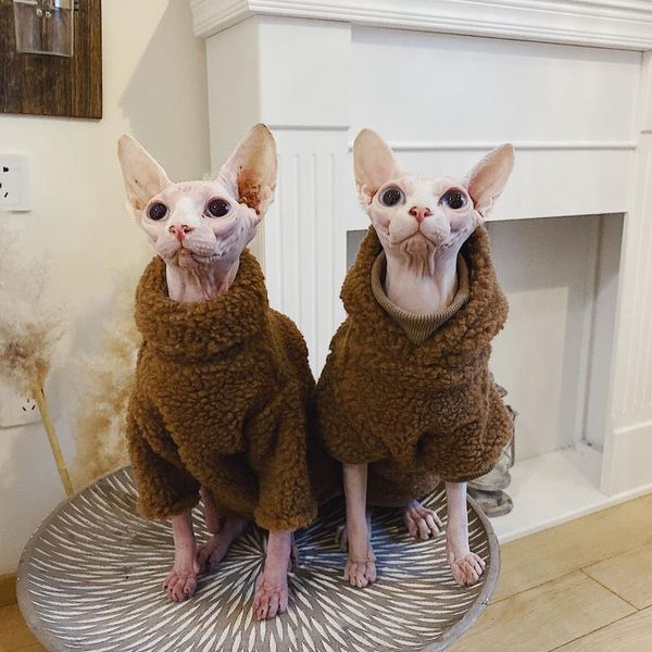 

cat costumes hairless clothes clothing sphinx devon konis pet warm winter thickened sweater hoodie