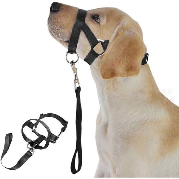 

dog collars & leashes head collar training leash leader soild harness gentle belt no pull bite straps classic muzzle halter