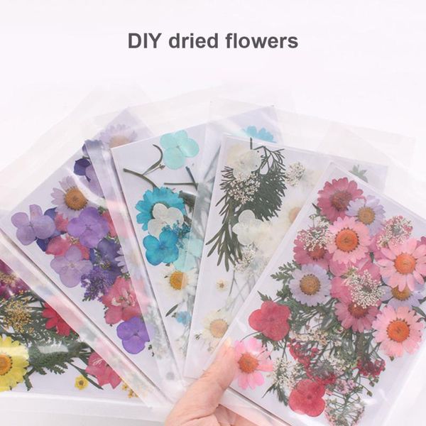 

decorative flowers & wreaths pressed flower mixed organic dried diy art floral decors collection gift wedding flores artificiales